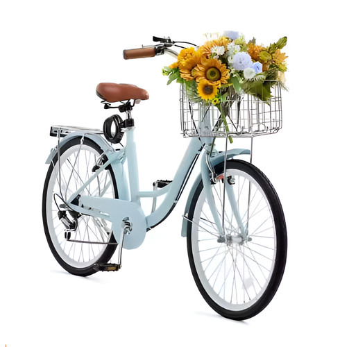 Bicicletta pollici city - 26,