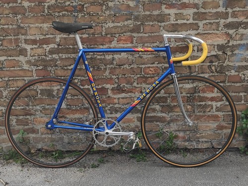 Rosa bici pista track - de,