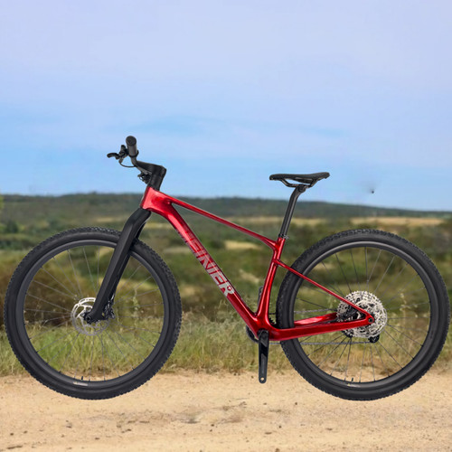Biciclette carbonio 29 - biciclette,